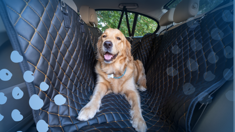 best-dog-car-beds