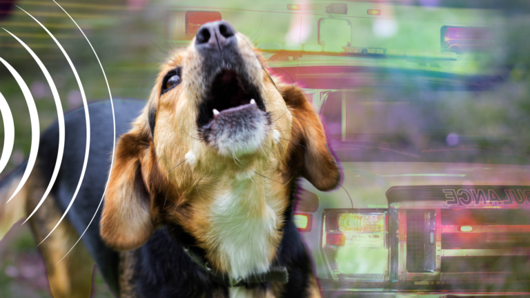 dog-howl-siren